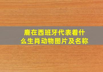 鹿在西班牙代表着什么生肖动物图片及名称