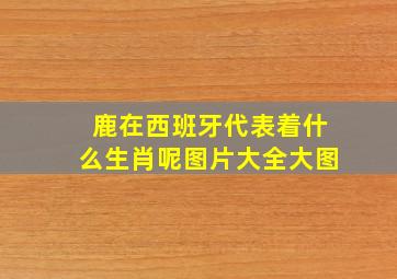 鹿在西班牙代表着什么生肖呢图片大全大图