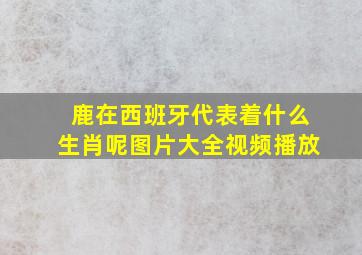 鹿在西班牙代表着什么生肖呢图片大全视频播放