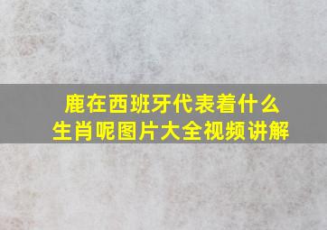 鹿在西班牙代表着什么生肖呢图片大全视频讲解