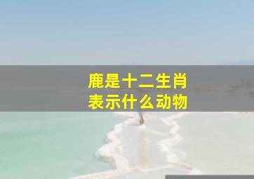 鹿是十二生肖表示什么动物