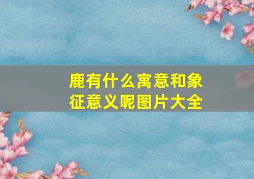 鹿有什么寓意和象征意义呢图片大全