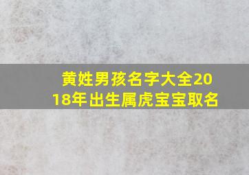 黄姓男孩名字大全2018年出生属虎宝宝取名