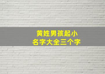 黄姓男孩起小名字大全三个字