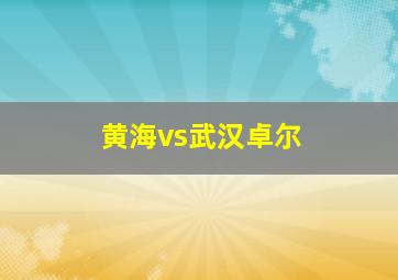 黄海vs武汉卓尔