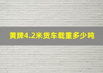 黄牌4.2米货车载重多少吨