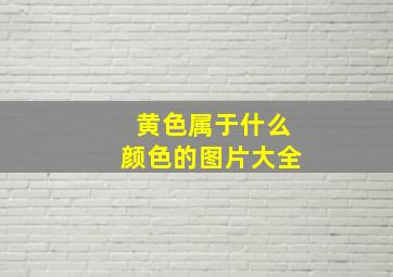 黄色属于什么颜色的图片大全