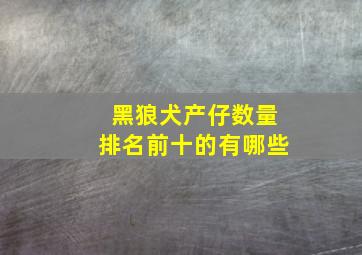 黑狼犬产仔数量排名前十的有哪些