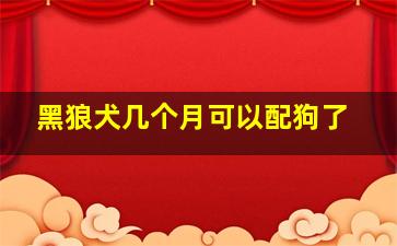 黑狼犬几个月可以配狗了