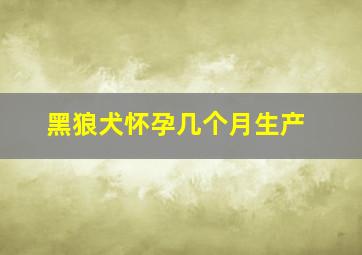 黑狼犬怀孕几个月生产