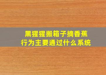 黑猩猩搬箱子摘香蕉行为主要通过什么系统