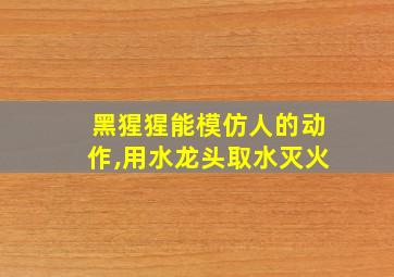 黑猩猩能模仿人的动作,用水龙头取水灭火