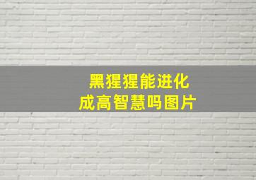 黑猩猩能进化成高智慧吗图片