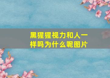 黑猩猩视力和人一样吗为什么呢图片