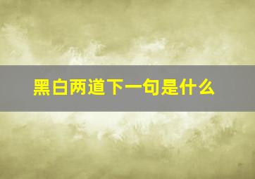 黑白两道下一句是什么