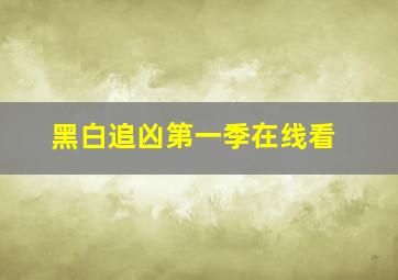 黑白追凶第一季在线看