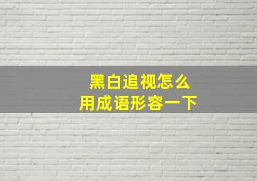 黑白追视怎么用成语形容一下