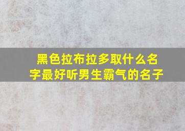 黑色拉布拉多取什么名字最好听男生霸气的名子