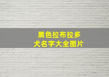 黑色拉布拉多犬名字大全图片