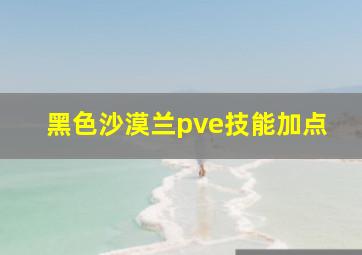 黑色沙漠兰pve技能加点