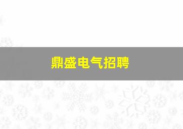 鼎盛电气招聘