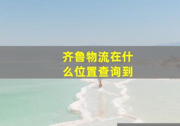 齐鲁物流在什么位置查询到