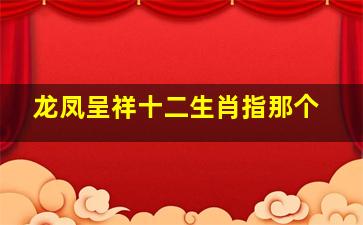 龙凤呈祥十二生肖指那个