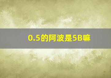 0.5的阿波是5B嘛