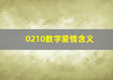 0210数字爱情含义