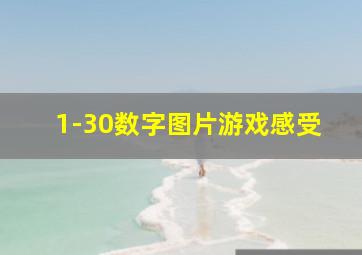 1-30数字图片游戏感受