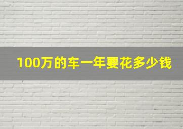 100万的车一年要花多少钱