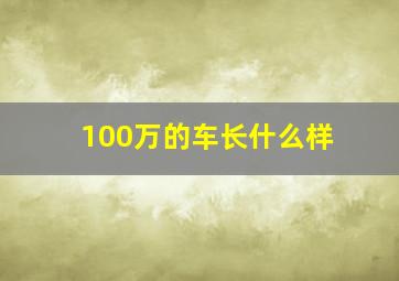 100万的车长什么样