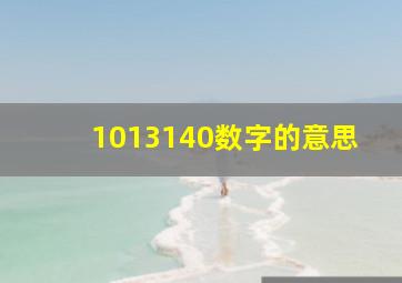 1013140数字的意思