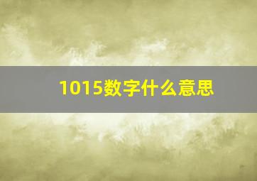 1015数字什么意思