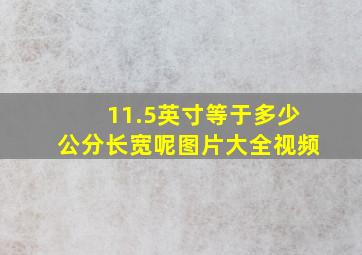 11.5英寸等于多少公分长宽呢图片大全视频