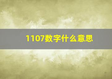 1107数字什么意思