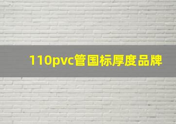 110pvc管国标厚度品牌