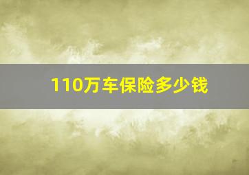 110万车保险多少钱