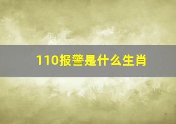 110报警是什么生肖