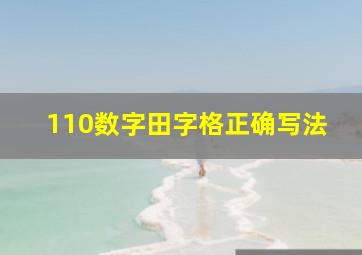 110数字田字格正确写法