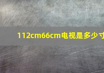 112cm66cm电视是多少寸