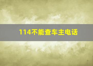 114不能查车主电话