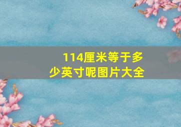 114厘米等于多少英寸呢图片大全