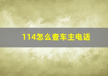 114怎么查车主电话