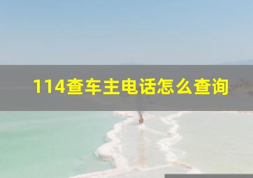 114查车主电话怎么查询