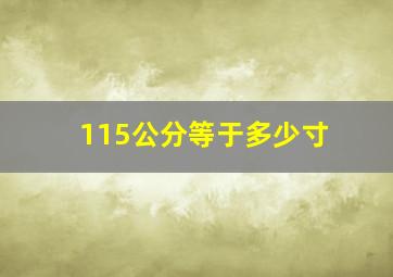 115公分等于多少寸