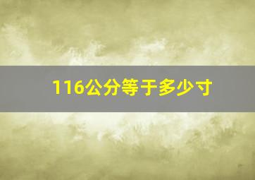 116公分等于多少寸