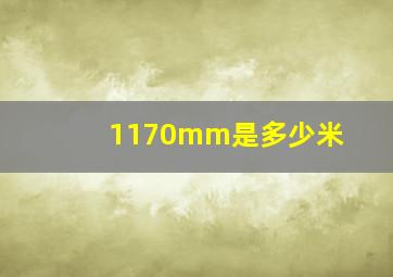 1170mm是多少米