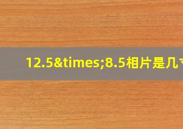 12.5×8.5相片是几寸