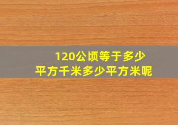 120公顷等于多少平方千米多少平方米呢